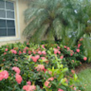 Meet your Posher, Anne